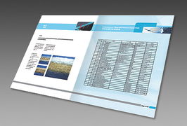 上海瑭晟環(huán)保技術(shù)產(chǎn)品畫冊(cè)與浙江中建網(wǎng)絡(luò)科技股份 專業(yè)網(wǎng)站建設(shè)服務(wù)指南